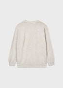 Boys Cotton Sweatshirt - Stone