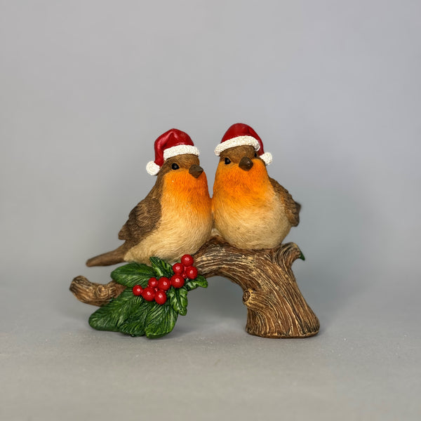 Two Christmas Robins