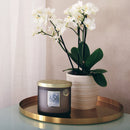 Twin Wick Candle - Love Always