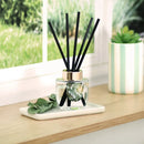 Fragrance Diffuser - Botanical Breeze