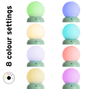 Wireless Lamp & Charger - Mint