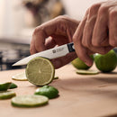 Gourmet Pairing Knife - 10CM