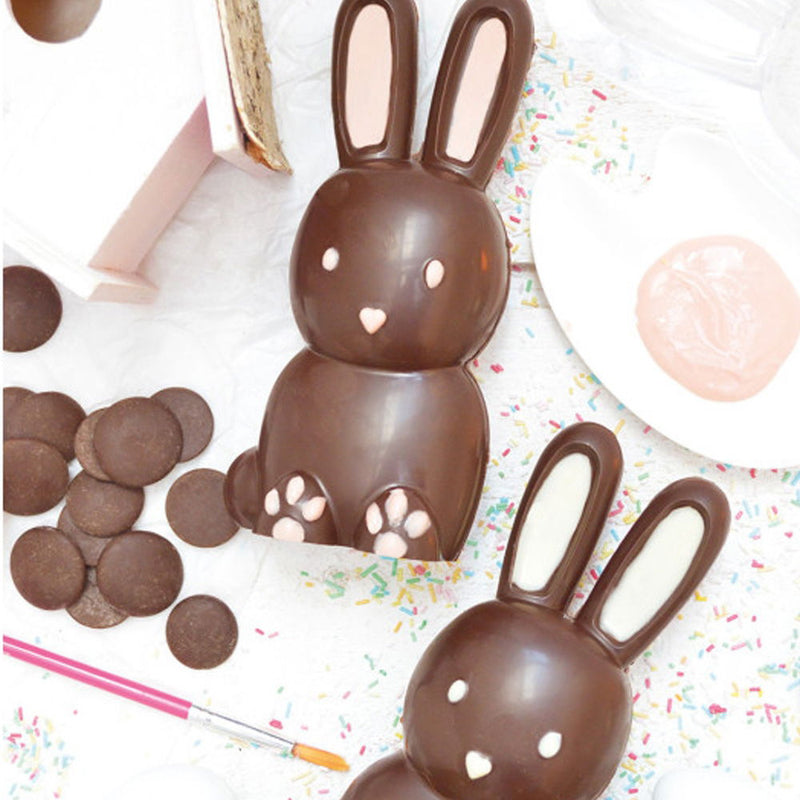 Chocolate Rabbit Mould