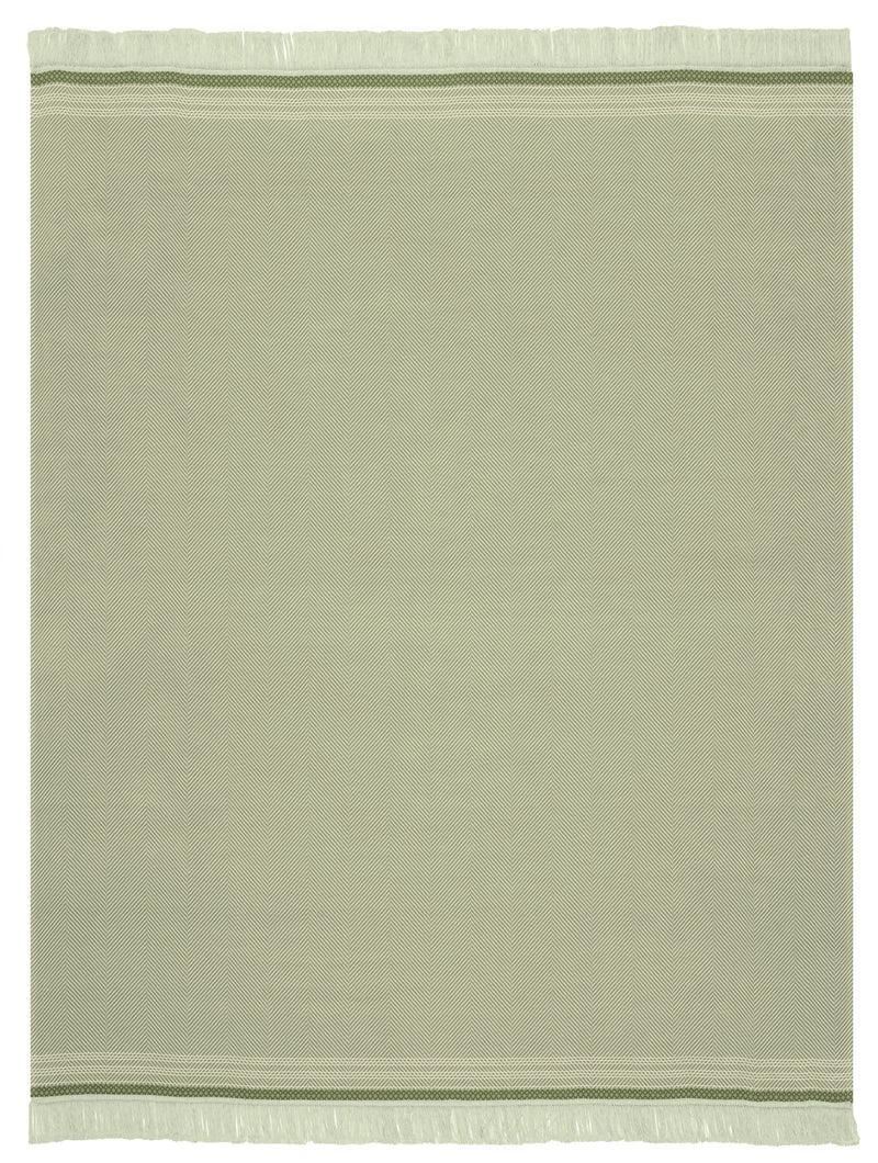 Cotton Rich Border Twill Blanket - Green - 140x180