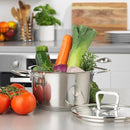 Vivo 24cm Stockpot with Lid