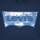 Skate Park Batwing Hoodie - Naval Academy