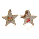 Christmas Robin Wooden Star Hanging Decoration