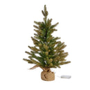 InLit Sparkly Fir - 60cm