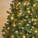 2000 LED Tree Lights - Warm White