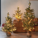 InLit Sparkly Fir - 60cm