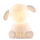 Lamb Luminaire