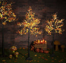 1.5 Warm White Lit Maple Leaf Tree