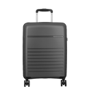 Aven Cabin 55cm Spinner Case - Grey