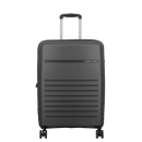 Aven Medium 65cm Spinner Case - Grey