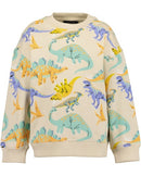 Animal Motif Sweatshirt - Pebble