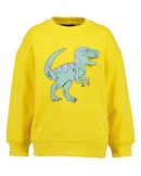 Animal Motif Sweatshirt - Sun