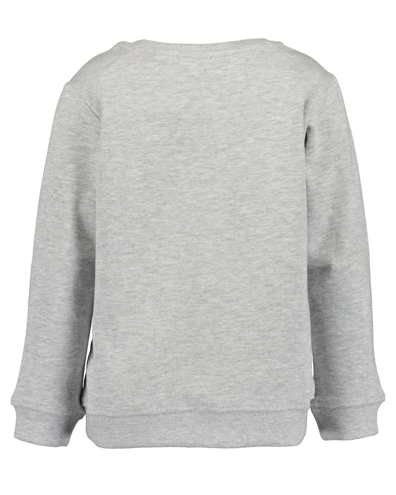 Front Print Sweatshirt - Grey