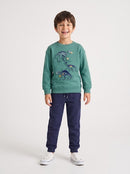 Boys Sweatshirt - Fir