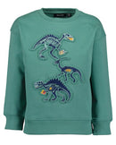 Boys Sweatshirt - Fir