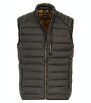 Gilet - Deep Forest