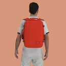 Classic 36 Litre Backpack - Tomato Festival
