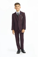 Caridi 3 Piece Suit - Wine