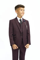 Caridi 3 Piece Suit - Wine