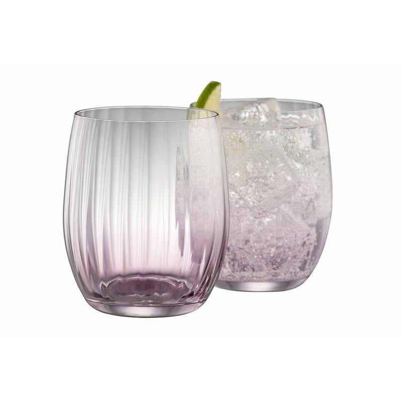 Erne Tumbler Set of 2 - Amethyst