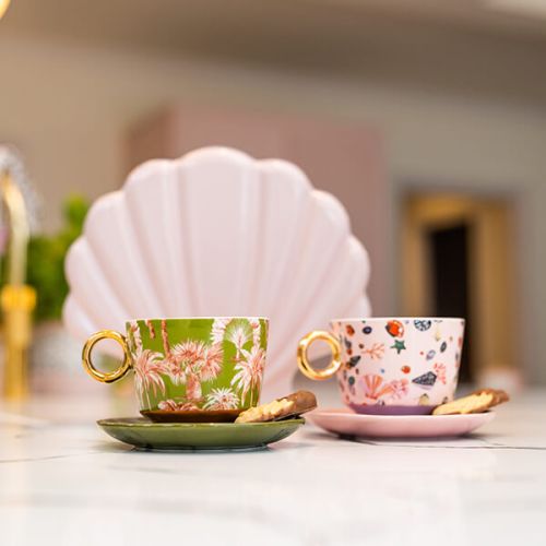 Cup And Saucer Palm