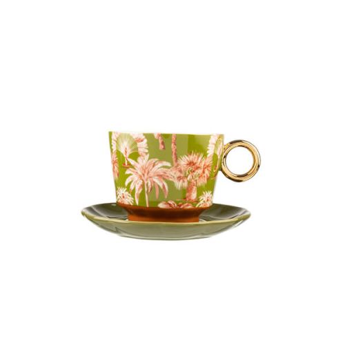Cup And Saucer Palm