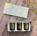 Box of Wisdom Trio Candles With Gemstones