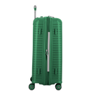 Evae Spinner Case 66cm - Green