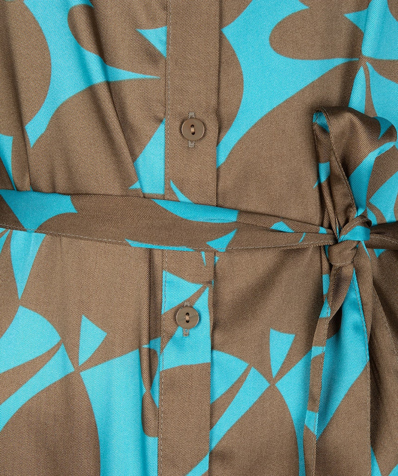 Shirt Collar Print Dress - Print