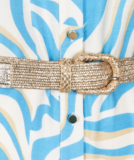 Electric Zebra Dress - Print