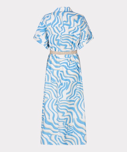 Electric Zebra Dress - Print