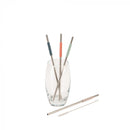 Twist Stainless Steel & Silicone Straw Set