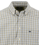 Colorful Check Shirts - Moss