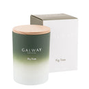 Candle With Lid - Fig Tree