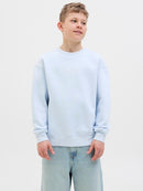 Crew Neck Sweat Shirts - Skyway