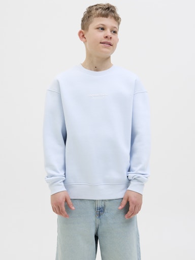 Crew Neck Sweat Shirts - Skyway