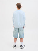 Crew Neck Sweat Shirts - Skyway