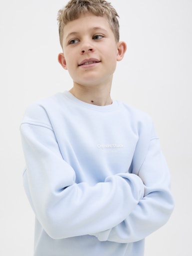 Crew Neck Sweat Shirts - Skyway