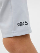 Gordon Fusion Sweat Shorts - Grey Dawn