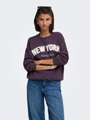 Mesa New York Sweatshirt - Plum Perfect/lavender Grey