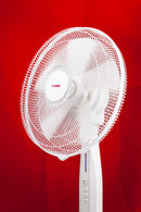 16 Inch Pedestal Fan