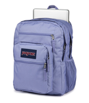 Big Student - Lavender Ash