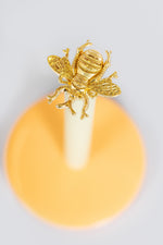 Kitchen Towel Holder