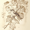 Sketch Bird Linen Weave Cushion