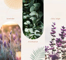Restore Room Mist - Reflective Rest