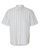 Clay Linen Blend Shirt - Bright White/balsam Green